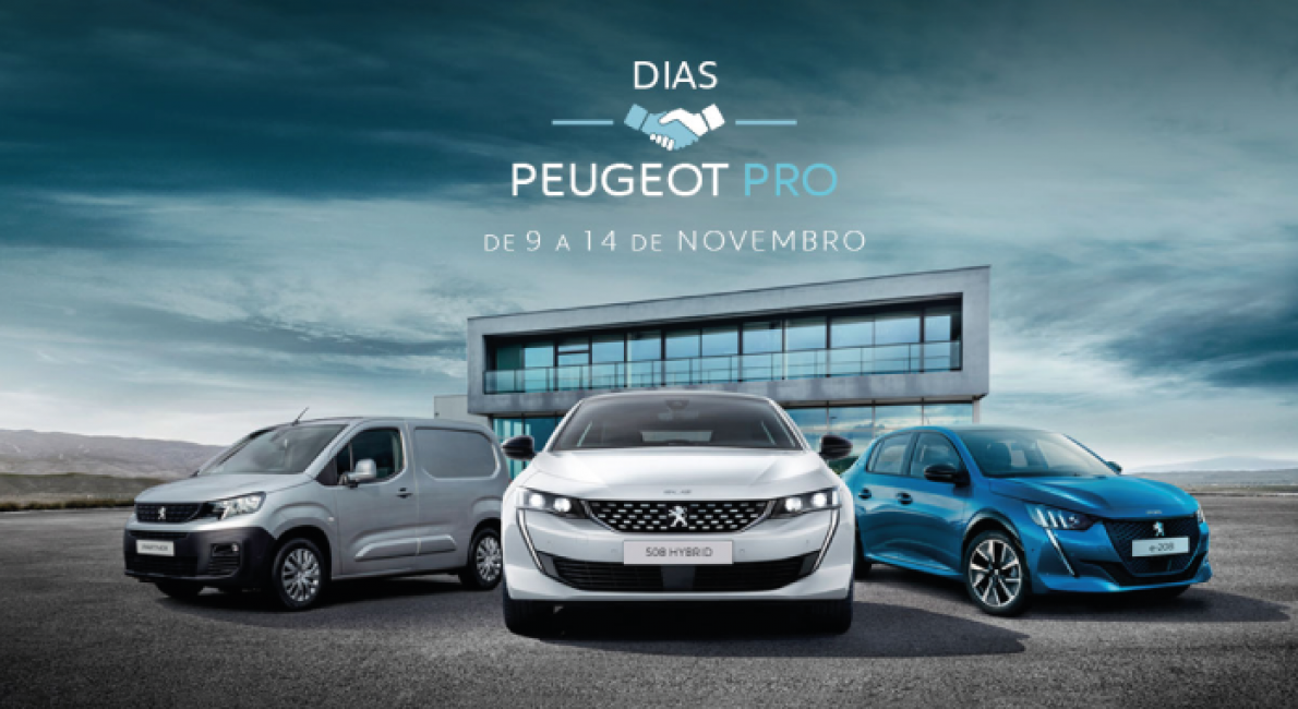 Dias Peugeot Pro 